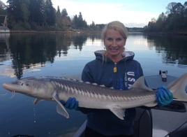 Portland Sturgeon Hunt