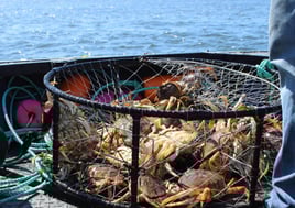 Oregon Crabbing Trip