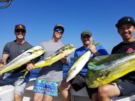 San Diego Offshore Adventure