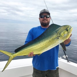 San Diego Offshore Adventure