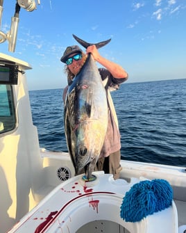 San Diego Champion Bluefin Adventure