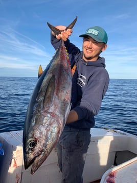 San Diego Champion Bluefin Adventure