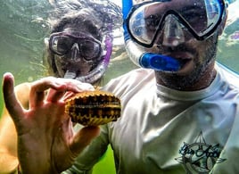 Crystal Coast Scalloping Adventure