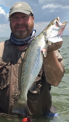 Half Day Wade Fish AM