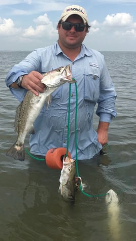 Half Day Wade Fish AM