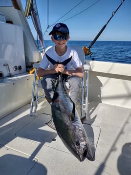 Offshore Shark and Tuna