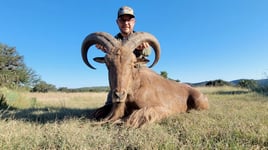 West Texas Aoudad Ram Hunt