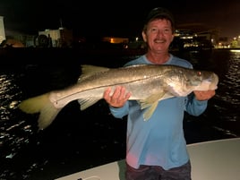 Fort Lauderdale Snook and Tarpon