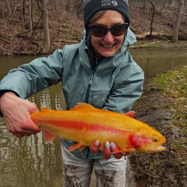 Epic Steelhead Plus Lodging & Meals