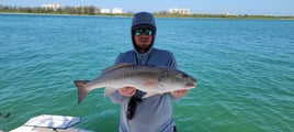 Southwest Florida Fishing Adventure