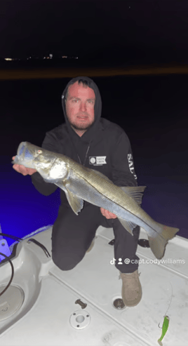 Southwest Florida Fishing Adventure