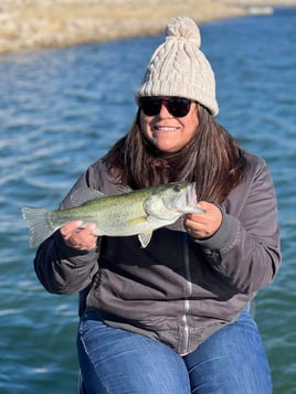 Lake Bastrop Bass Fishing