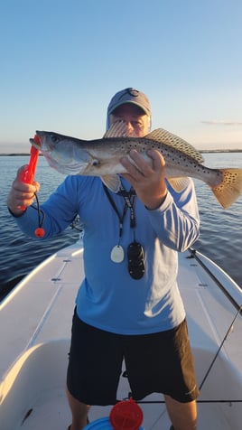 Sight Fishing Mosquito Lagoon