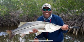 Snook Fishing in Homestead, Florida