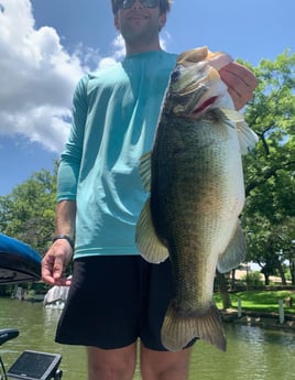Largemouth Bass Fishing in Austin, Texas