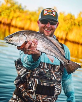 Tampa Bay Inshore Action