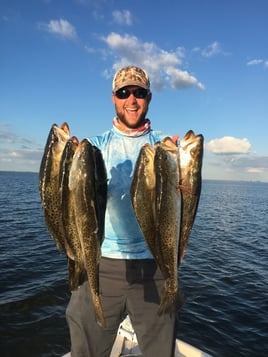 Tampa Bay Inshore Action