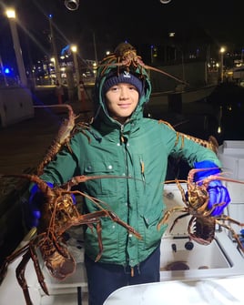 Lobster Hooping - 21' Bayliner