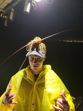 Lobster Hooping - 21' Bayliner