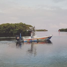 Tampa Bay Inshore Fishing