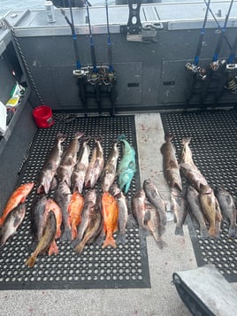 Salmon, Rockfish, Lingcod, & Crab