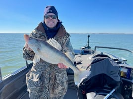 Lake Erie Walleye Hunt