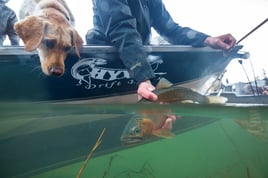 St. Joe River Cutthroat Trip