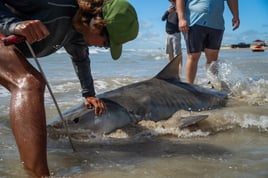 Just Doin’ It Shark Fishing - Port Aransas