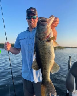 Largemouth Bass Fishing in Kissimmee, Florida