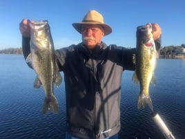 Largemouth Bass Fishing in Windermere, Florida