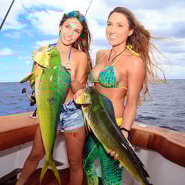 Full Day Offshore - 30' Seahunter