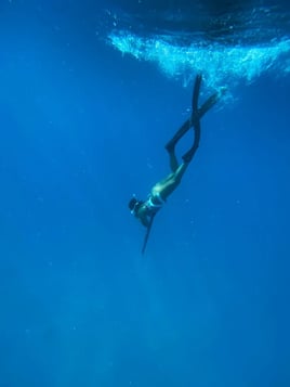 Spearfishing Miami Beach