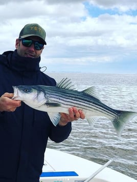 New Jersey on Light Tackle