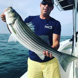 New Jersey on Light Tackle