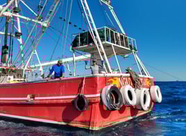 Venice Inshore Action