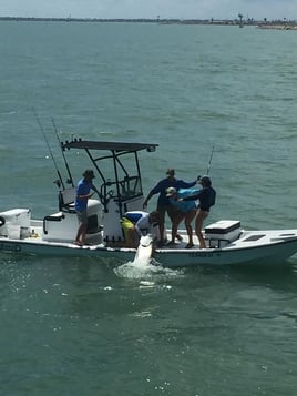 Lower Laguna Madre Adventure