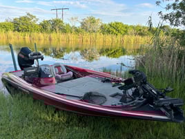 Everglades Peacock Bass/Largemouth