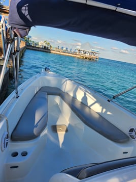 Paradise Island Fishing