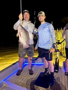 Crystal River Bowfishing