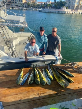 Luxury Punta Cana Adventure