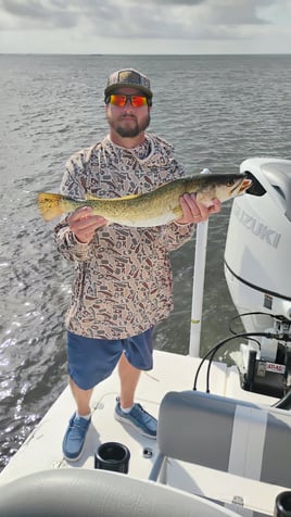 Coastal Bend Live Action!