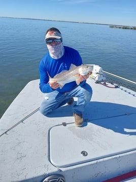 Coastal Bend Live Action!