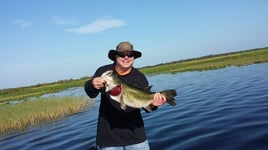 Largemouth Bass Fishing in Okeechobee, Florida