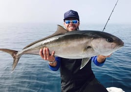 Amberjack Fishing in Holmes Beach, Florida