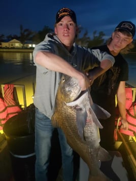 Black Drum Fishing in Destin, Florida
