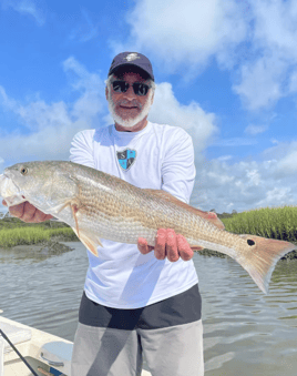 Inshore Rod Bending Action