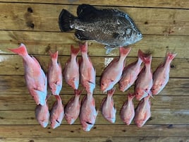 "Cajun Classic" Red Snapper Trip