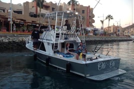 Cabo Full-Day or Half-Day