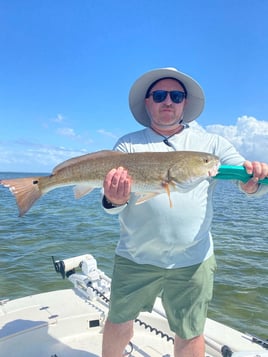 Redfish Fishing in St. Petersburg, Florida