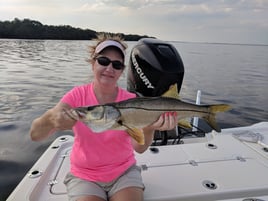 Tarpon Springs Special